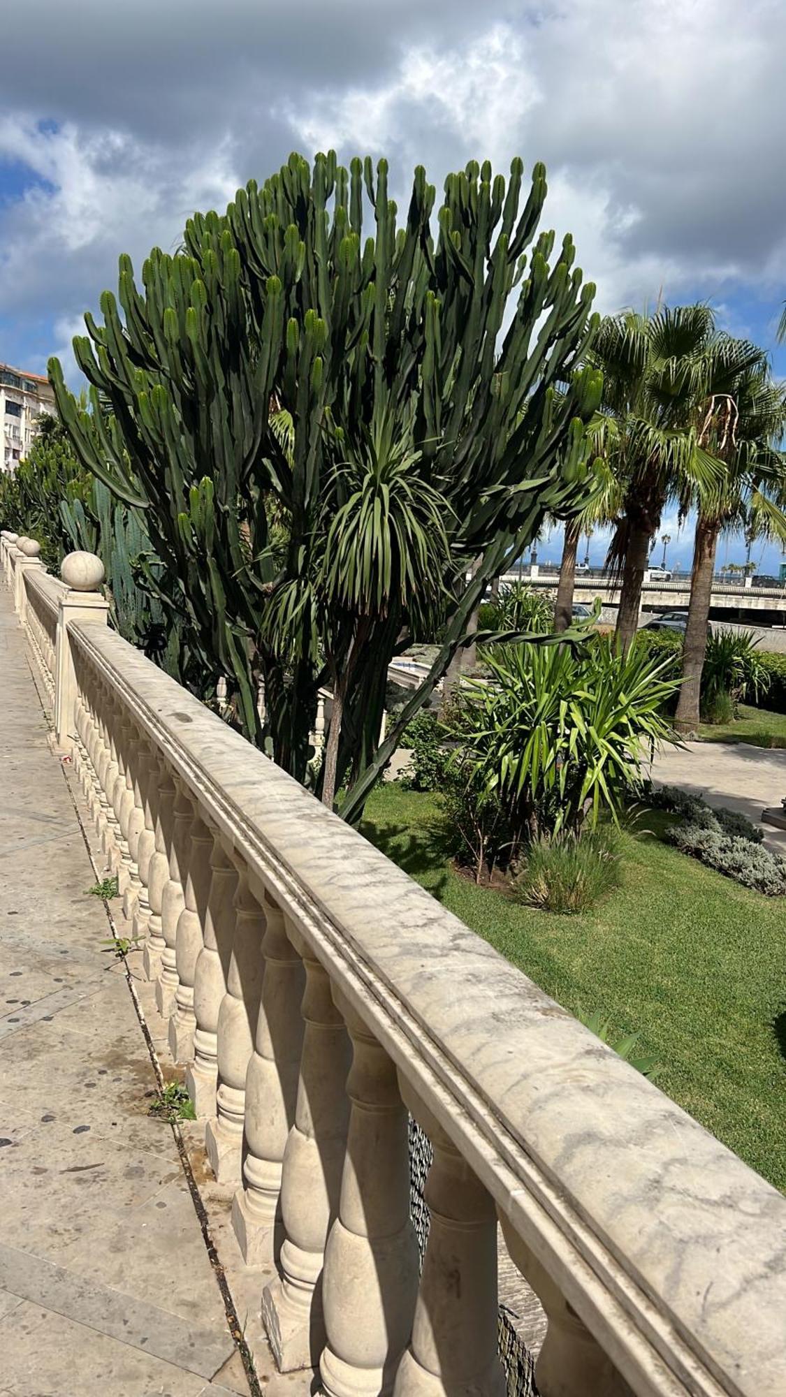 Les Terrasses De Malabata Apartment Tanger Luaran gambar